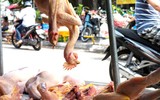 [ẢNH] Đeo khẩu trang y tế đúng cách và những biện pháp giảm nguy cơ mắc virus corona mới