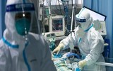 [ẢNH] Những câu chuyện cảm động về tình người trong 