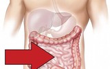 [ẢNH] Phương thức lây lan của virus corona mới và cách phòng ngừa virus corona tấn công