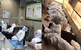 [ẢNH] Những câu chuyện cảm động về tình người trong 