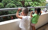 [ẢNH] Những cách trông trẻ tại nhà an toàn và hiệu quả cha mẹ cần biết