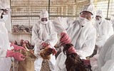 [ẢNH] Không chỉ virus nCoV, Trung Quốc chịu thêm hàng loạt gánh nặng mới