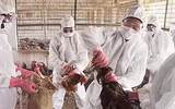 [ẢNH] Không chỉ virus nCoV, Trung Quốc chịu thêm hàng loạt gánh nặng mới