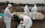 [ẢNH] Không chỉ virus nCoV, Trung Quốc chịu thêm hàng loạt gánh nặng mới
