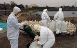 [ẢNH] Không chỉ virus nCoV, Trung Quốc chịu thêm hàng loạt gánh nặng mới