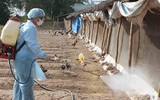 [ẢNH] Không chỉ virus nCoV, Trung Quốc chịu thêm hàng loạt gánh nặng mới