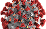 [ẢNH] Không chỉ virus nCoV, Trung Quốc chịu thêm hàng loạt gánh nặng mới