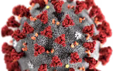 [ẢNH] Không chỉ virus nCoV, Trung Quốc chịu thêm hàng loạt gánh nặng mới