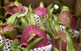 [ẢNH] Các mặt hàng nông sản trái cây Việt 