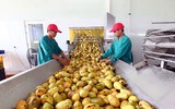 [ẢNH] Các mặt hàng nông sản trái cây Việt 
