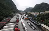 [ẢNH] Các mặt hàng nông sản trái cây Việt 