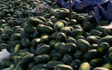 [ẢNH] Các mặt hàng nông sản trái cây Việt 