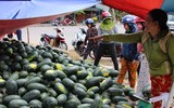 [ẢNH] Các mặt hàng nông sản trái cây Việt 