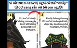 [ẢNH] Những loài động vật là ổ chứa tự nhiên của nhiều virus 