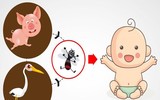 [ẢNH] Những loài động vật là ổ chứa tự nhiên của nhiều virus 