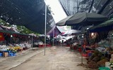 [ẢNH] Đình, chùa, lễ hội vắng hẳn bóng người 