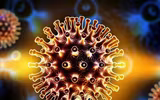 [ẢNH] Những loài động vật là ổ chứa tự nhiên của nhiều virus 