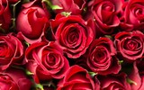 [ẢNH] Những món quà thích hợp để tặng cho 