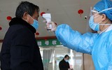 [ẢNH] Vì sao người lớn lại dễ bị nhiễm virus corona hơn trẻ em?
