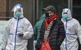 [ẢNH] Vì sao người lớn lại dễ bị nhiễm virus corona hơn trẻ em?