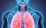 [ẢNH] Dịch corona: Trả lời 13 câu hỏi sau để hiểu hơn về virus 2019-nCoV