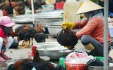 [ẢNH] Những điều kiêng kỵ theo dân gian trong ngày Rằm tháng Giêng Canh Tý 2020