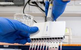 [ẢNH] Những phát hiện khoa học quan trọng của các nước về virus corona