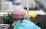 [ẢNH] Những phát hiện khoa học quan trọng của các nước về virus corona