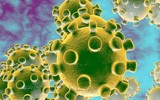 [ẢNH] Khủng hoảng virus corona nCoV: Những lần Triều Tiên 