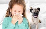 [ẢNH] Cảnh giác trước 10 vật dụng có thể là 