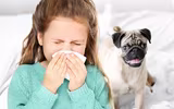[ẢNH] Cảnh giác trước 10 vật dụng có thể là 
