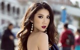 [ẢNH] Những nghệ sĩ Việt đột ngột rẽ hướng khiến khán giả tiếc nuối