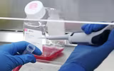 [ẢNH] Những phát hiện khoa học quan trọng của các nước về virus corona