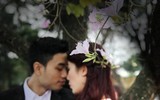 [ẢNH] Vẻ quyến rũ đến say đắm lòng người của hoa ban giữa lòng Thủ đô
