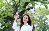 [ẢNH] Vẻ quyến rũ đến say đắm lòng người của hoa ban giữa lòng Thủ đô