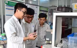 [ẢNH] Hàng loạt các trường đại học, cao đẳng 
