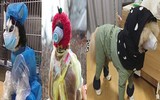 [ẢNH] Những bộ đồ bảo hộ 