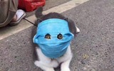 [ẢNH] Những bộ đồ bảo hộ 