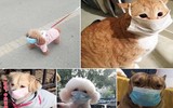 [ẢNH] Những bộ đồ bảo hộ 