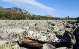 [ẢNH] Điều thú vị về Big Stone – dòng sông không có nước ở Nga