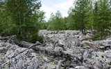 [ẢNH] Điều thú vị về Big Stone – dòng sông không có nước ở Nga
