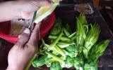 [ẢNH] Món ngon tốt cho sức khoẻ, dễ làm từ thanh long