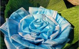 [ẢNH] Những bức ảnh 