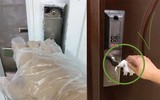 [ẢNH] Những bức ảnh 