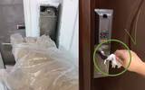 [ẢNH] Những bức ảnh 