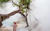 [ẢNH] Top 7 dòng sông kỳ lạ bậc nhất hành tinh
