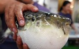 [ẢNH] Những món hải sản 
