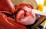 [ẢNH] Những món hải sản 