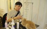 [ẢNH] Top 5 cuộc 