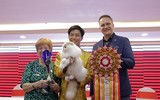 [ẢNH] Top 5 cuộc 